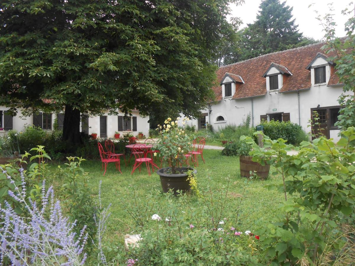 B&B La Ferme Des Bordes Pontlevoy ภายนอก รูปภาพ