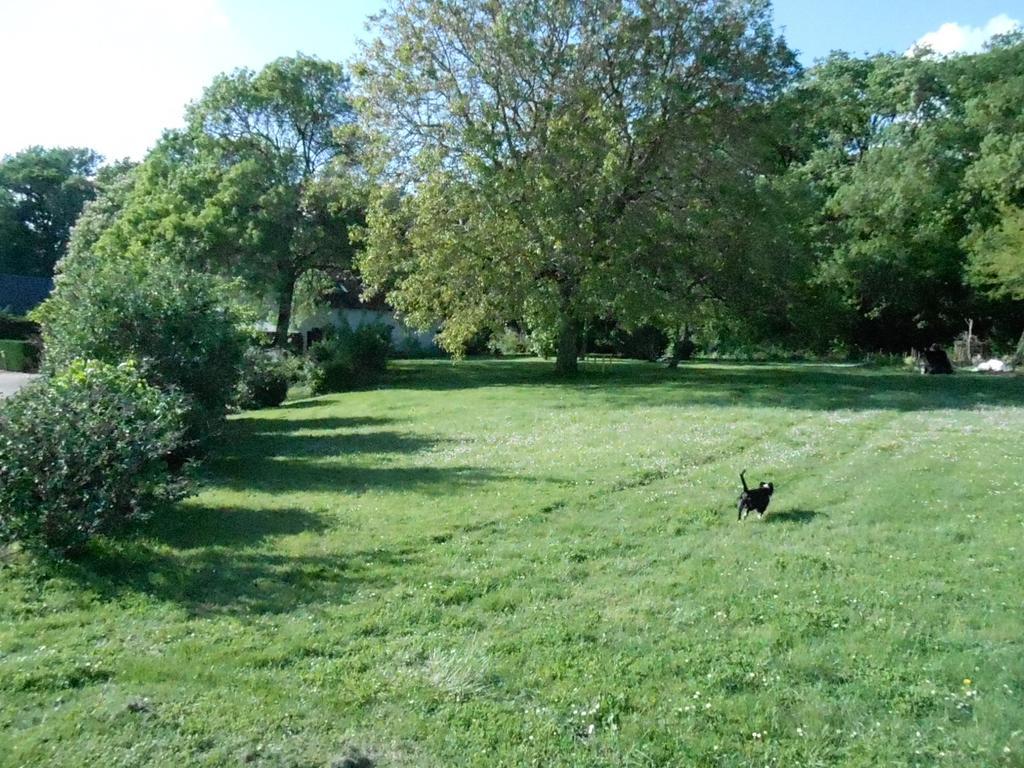 B&B La Ferme Des Bordes Pontlevoy ภายนอก รูปภาพ